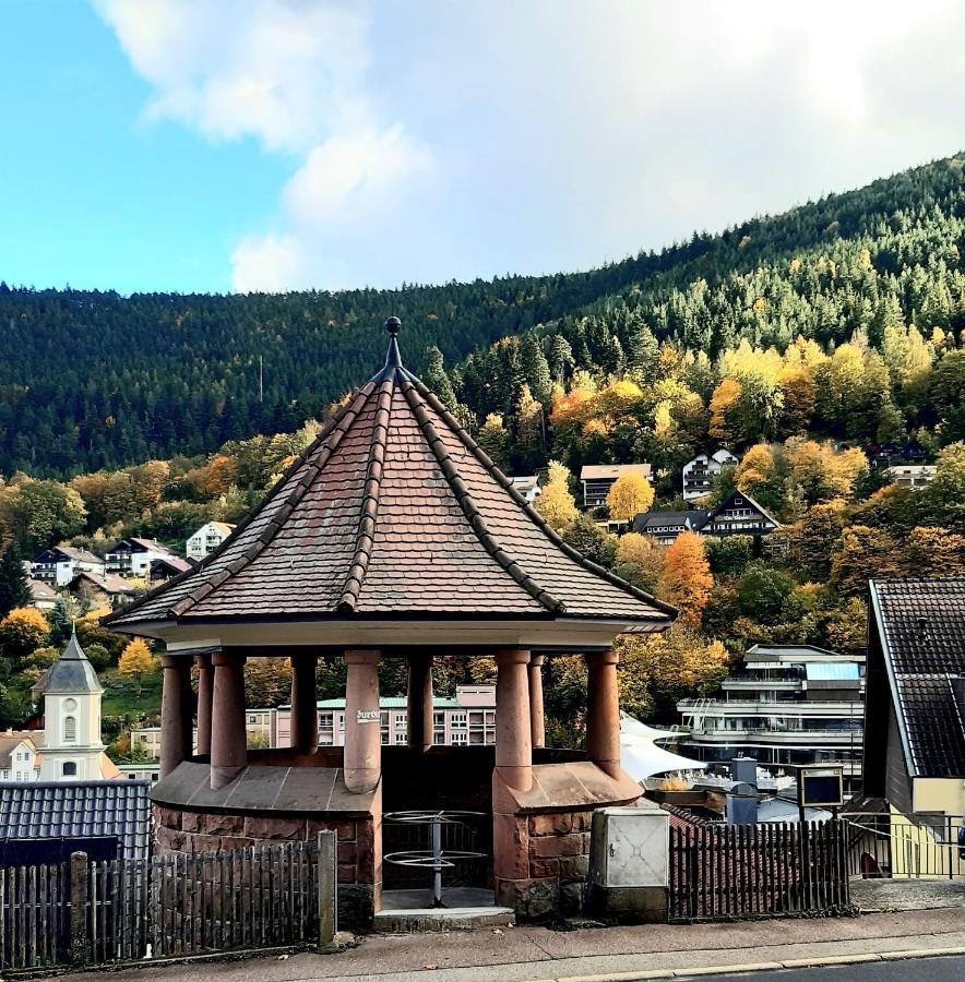 Apartamento Fewo Sehl Bad Wildbad Exterior foto