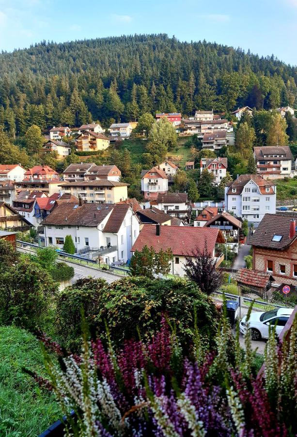Apartamento Fewo Sehl Bad Wildbad Exterior foto