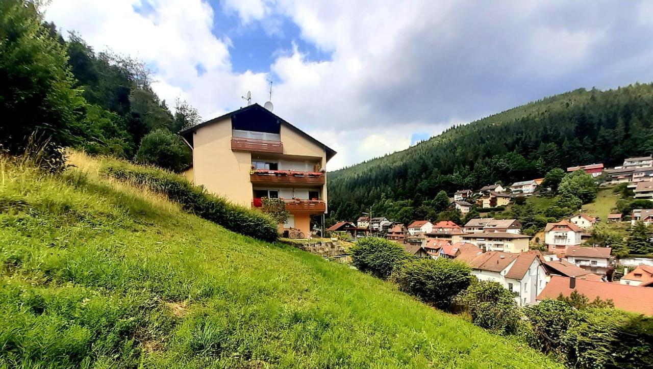 Apartamento Fewo Sehl Bad Wildbad Exterior foto